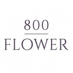 800 Flower
